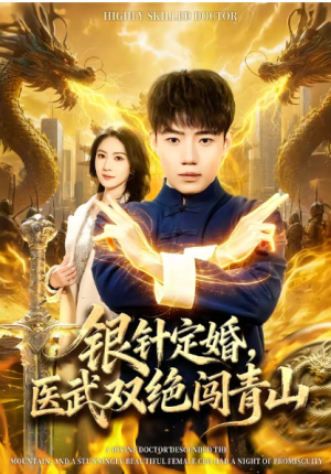 银针定婚医武双绝闯青山（74集）