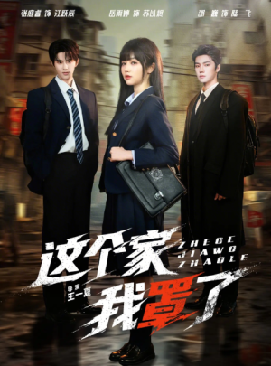 这个家我罩了（60集）