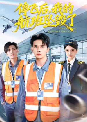 停飞后我的航班坠毁了（100集）