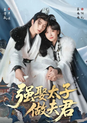 强娶太子做夫君（67集）